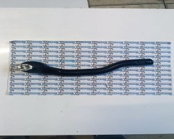  TOYOTA RAV4 ROT BAŞI 2006 - 2011 / 45046-49195	